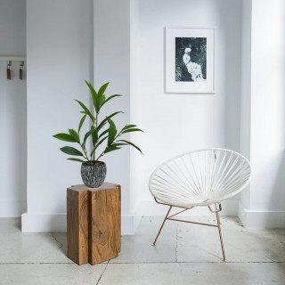 Plante artificielle avec pot et tiges fines Hauteur +/- 38 cm - PEI