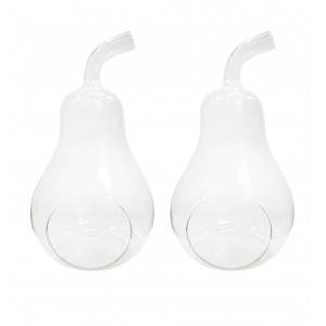 Lot de 2 vases à poser terrarium verre transparent forme poire - GLASSSBOX