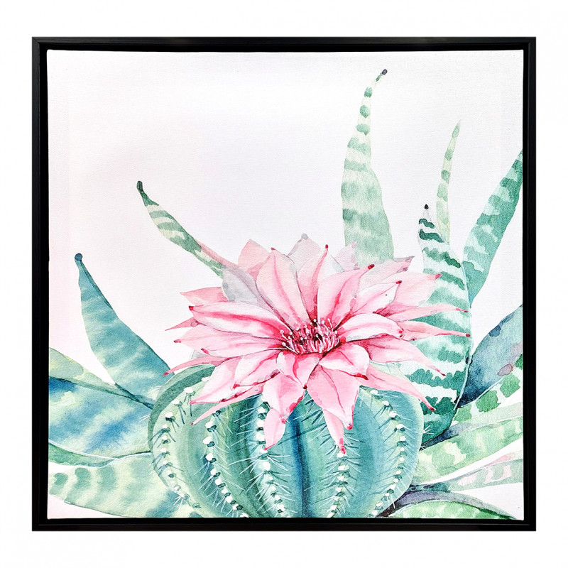 Tableau dessin aquarelle fleur cactus rose et vert sur cadre en bois noir 40x40 cm - Décoration murale - FLOWER