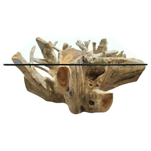 Tables Basses Carrée en Racine de Teck avec Plateau en Verre Trempé L.80 cm - Style Naturel et Exotique - WURZEL