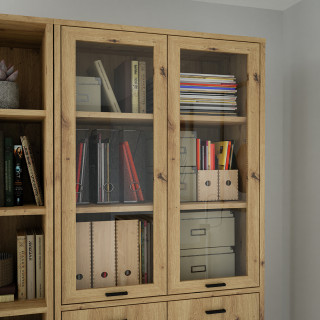 Option 2 portes de placard vitrées pour bibliothèque décor bois chêne rustique - MANOLO