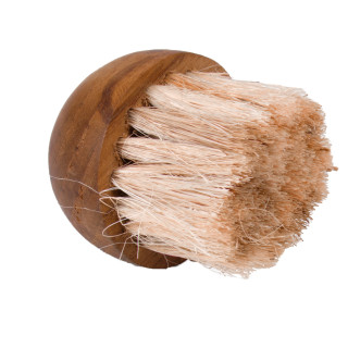 Lot de 2 brosses à champignons en bois de teck et fibre d’ananas - MEDUSA 01